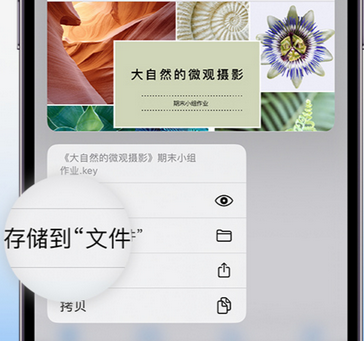 灵武apple维修中心分享iPhone文件应用中存储和找到下载文件