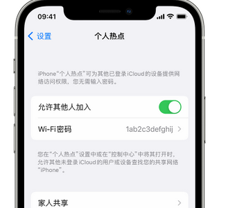 灵武apple服务站点分享iPhone上个人热点丢失了怎么办 