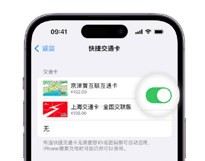 灵武apple维修点分享iPhone上更换Apple Pay快捷交通卡手绘卡面 