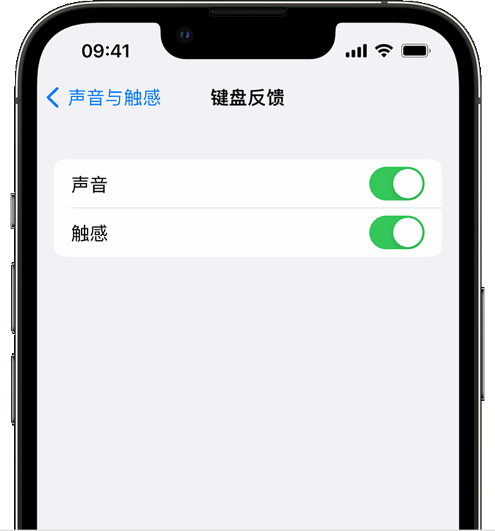 灵武苹果14维修店分享如何在 iPhone 14 机型中使用触感键盘 