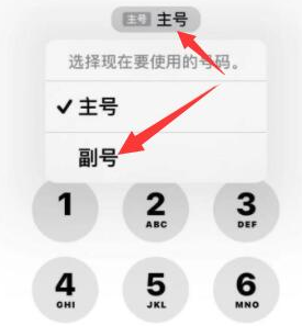 灵武苹果14维修店分享iPhone 14 Pro Max使用副卡打电话的方法 