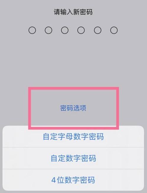 灵武苹果14维修分享iPhone 14plus设置密码的方法 