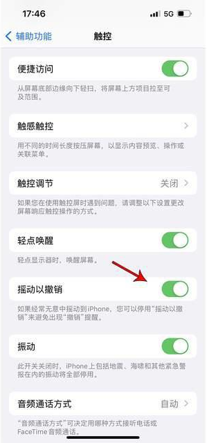 灵武苹果手机维修分享iPhone手机如何设置摇一摇删除文字 