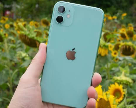 灵武苹果维修点分享iPhone 11锁屏密码认知与使用科普 