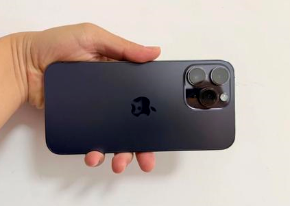 灵武苹果维修点分享iPhone 14 Pro Max黑屏少见故障盘点 
